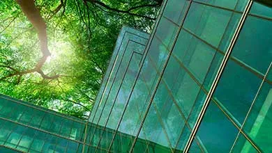 Low-angle view of a modern building with green-tinted glass and metal framing, surrounded by leafy trees with sunlight filtering through.